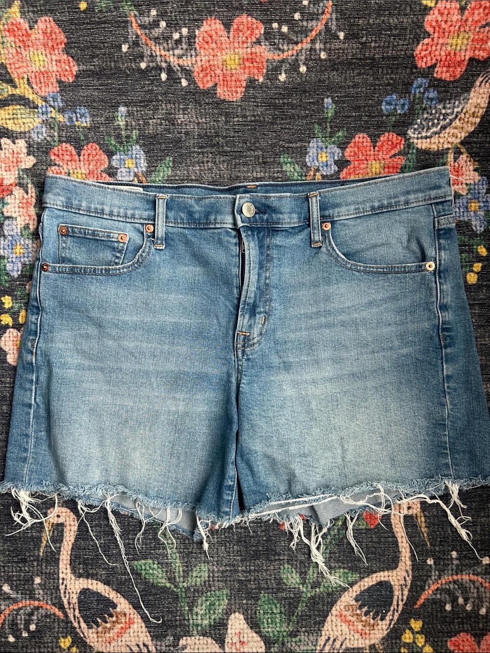 Gap Distressed Mid Rise 5” Denim Shorts, Size 12 (31)